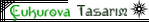 Çukurova Web Tasarım Hizmetleri